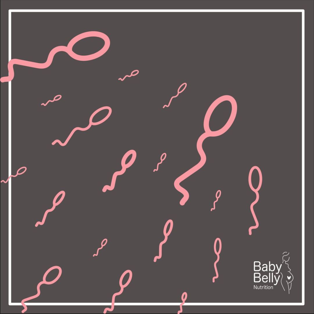 How to boost male fertility and increase sperm count