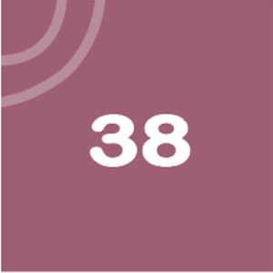 BabyBelly pregnancy calendar with nutrition and lifestyle tips - week 38