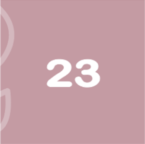 BabyBelly pregnancy calendar with nutrition and lifestyle tips - week 23