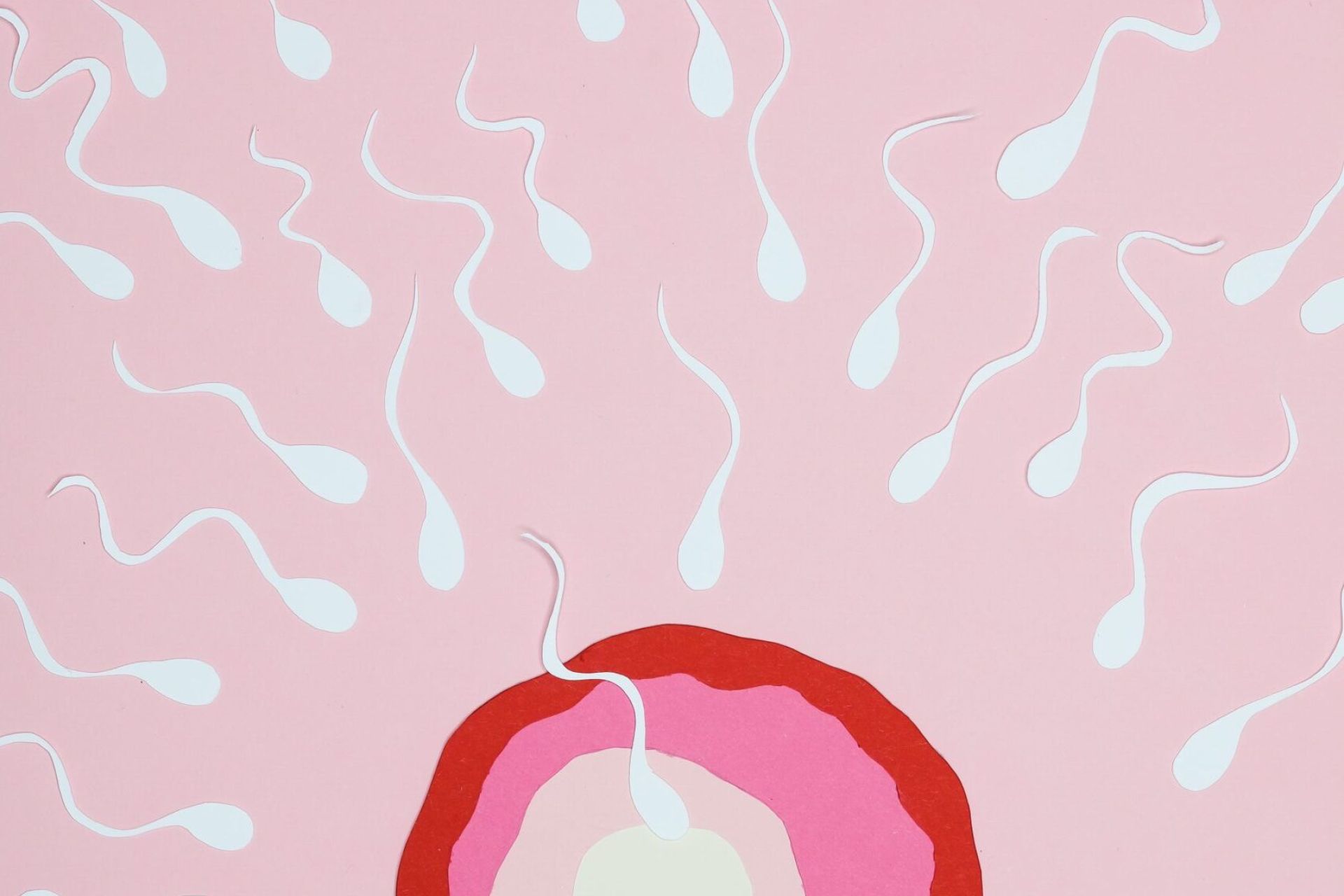 Gesunde Ernährung kann die Menopause hinauszögern und die Fruchtbarkeit verlängern.