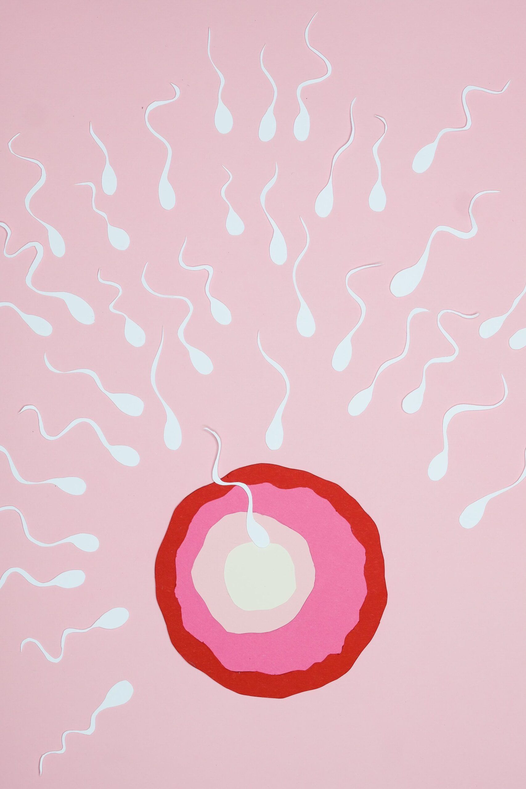 Gesunde Ernährung kann die Menopause hinauszögern und die Fruchtbarkeit verlängern.