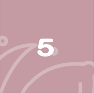 BabyBelly pregnancy calendar with nutrition and lifestyle tips - week 5