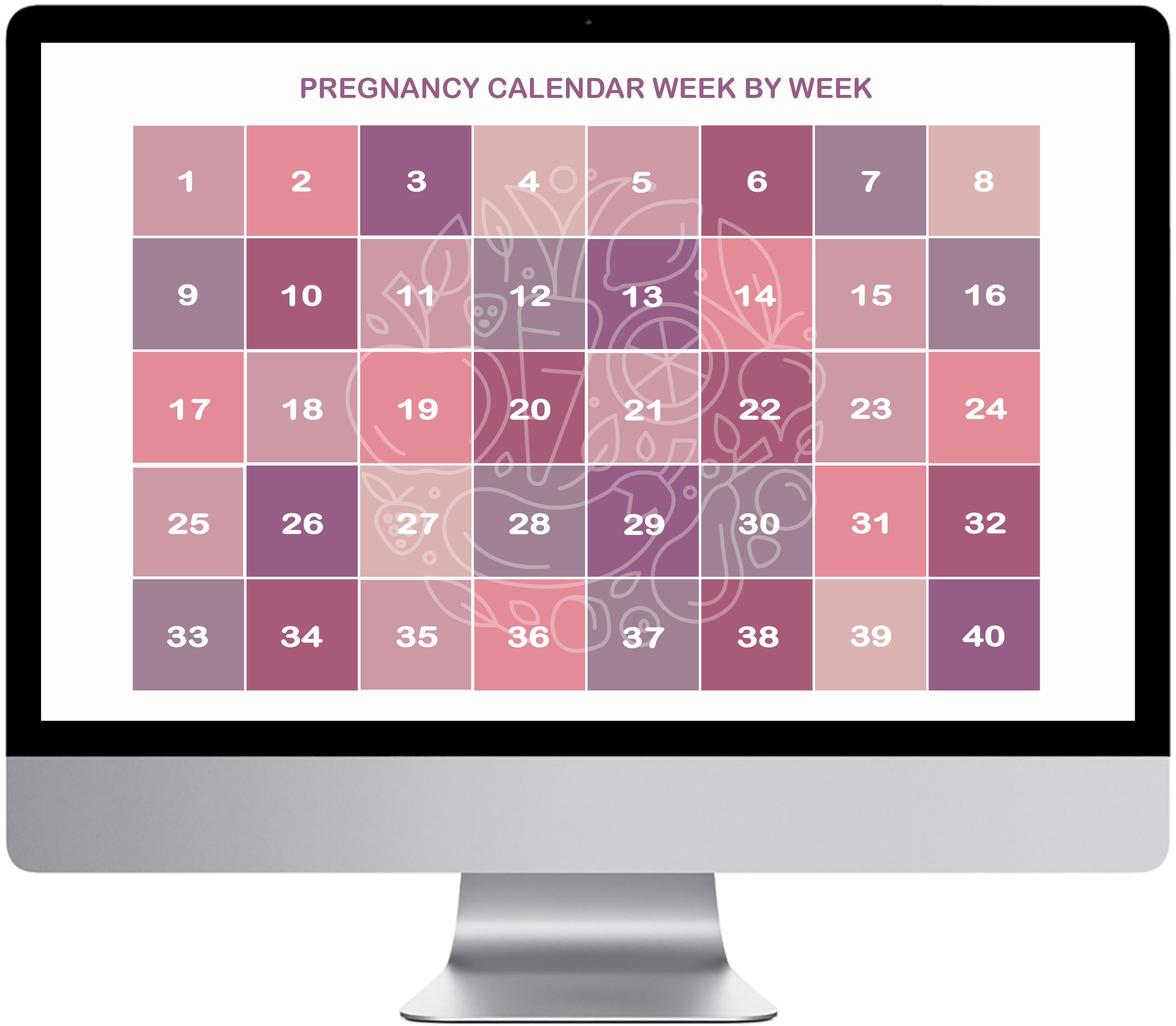 BabyBelly week by week pregnancy calendar with nutrition tips