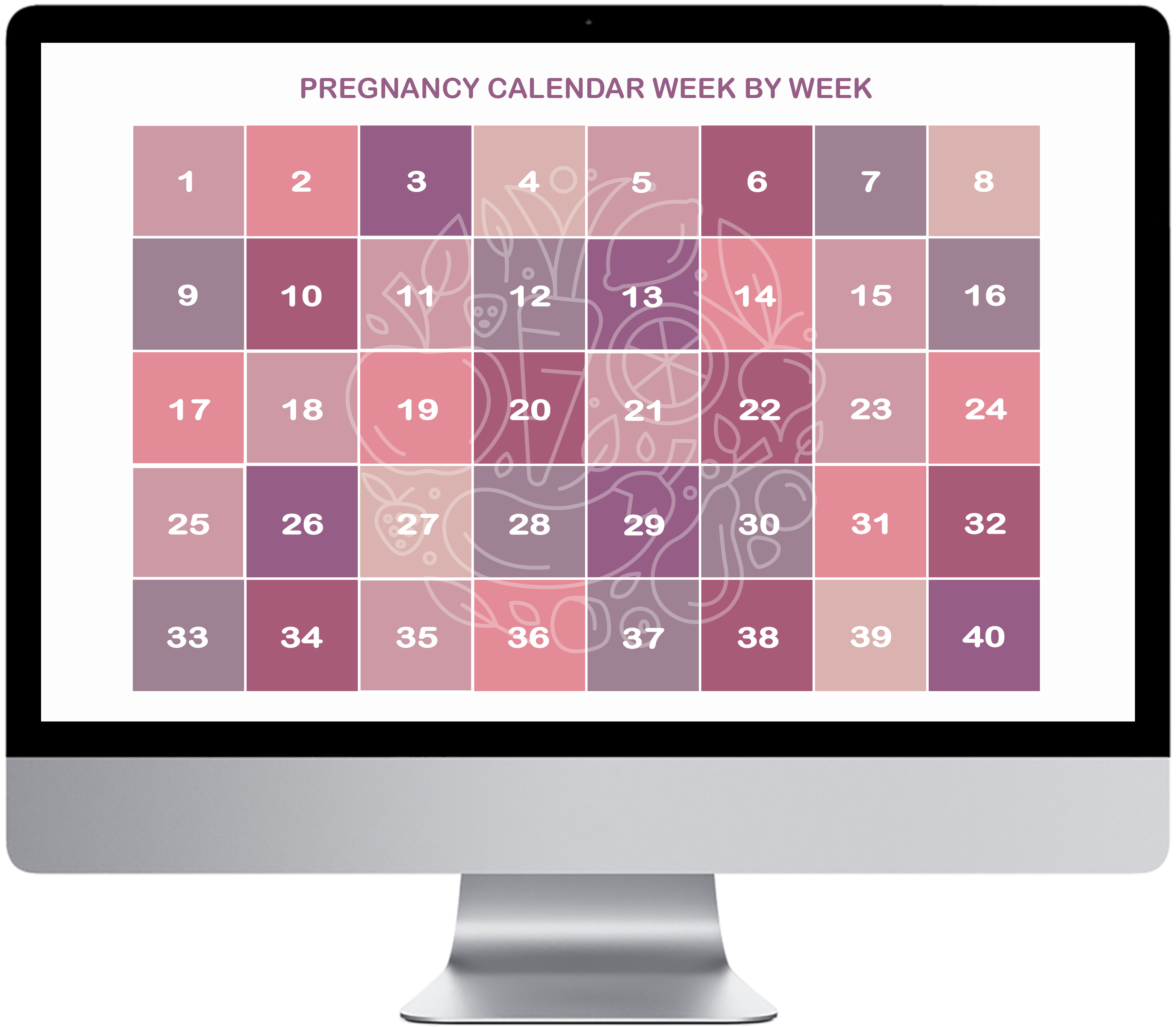 BabyBelly week by week pregnancy calendar with nutrition tips