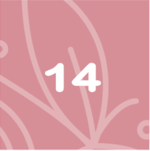 BabyBelly pregnany calendar with nutrition and lifestyle tips - week 14
