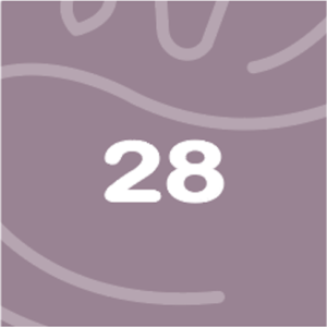 BabyBelly pregnancy calendar with nutrition and lifestyle tips - week 28