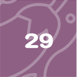 BabyBelly pregnancy calendar with nutrition and lifestyle tips - week 29