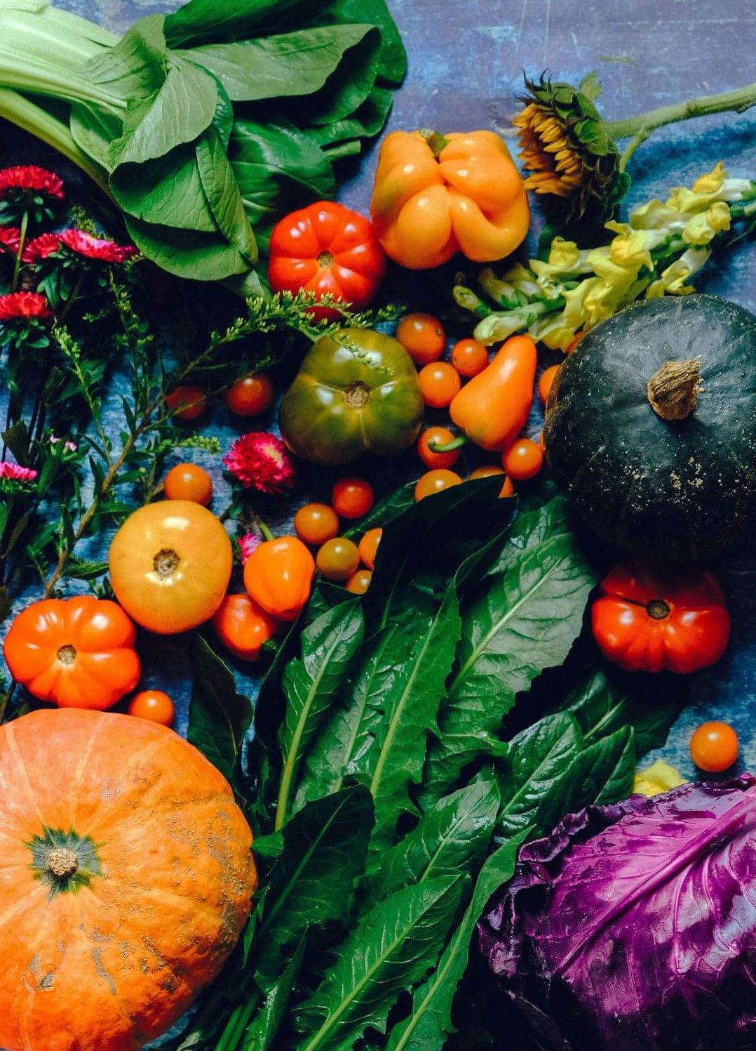 Phytonutrients are particularly important during pregnancy