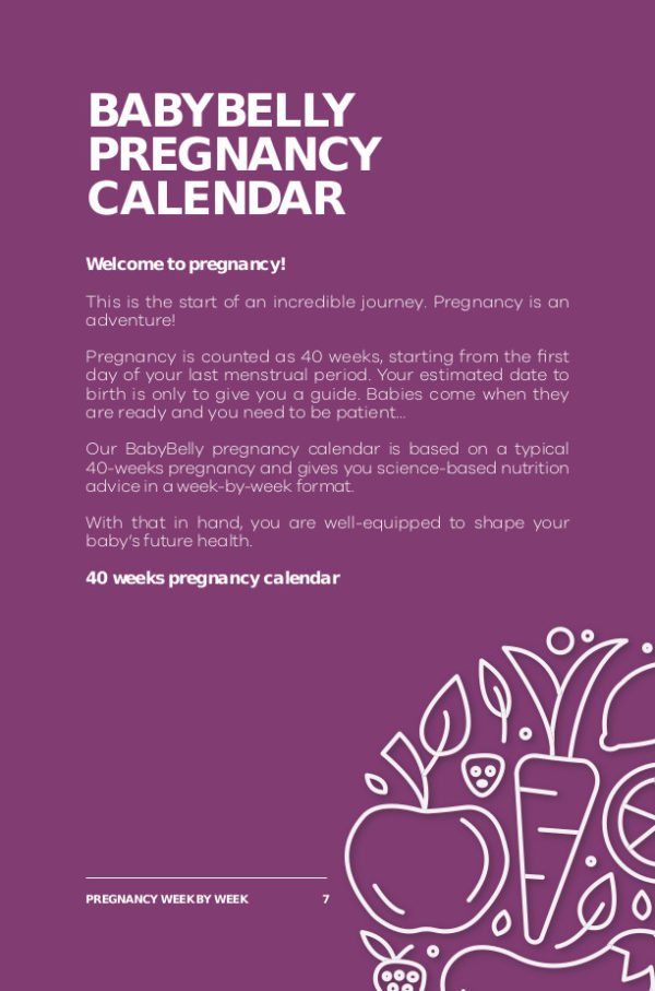 BabyBelly Pregnancy Calendar - Image 2