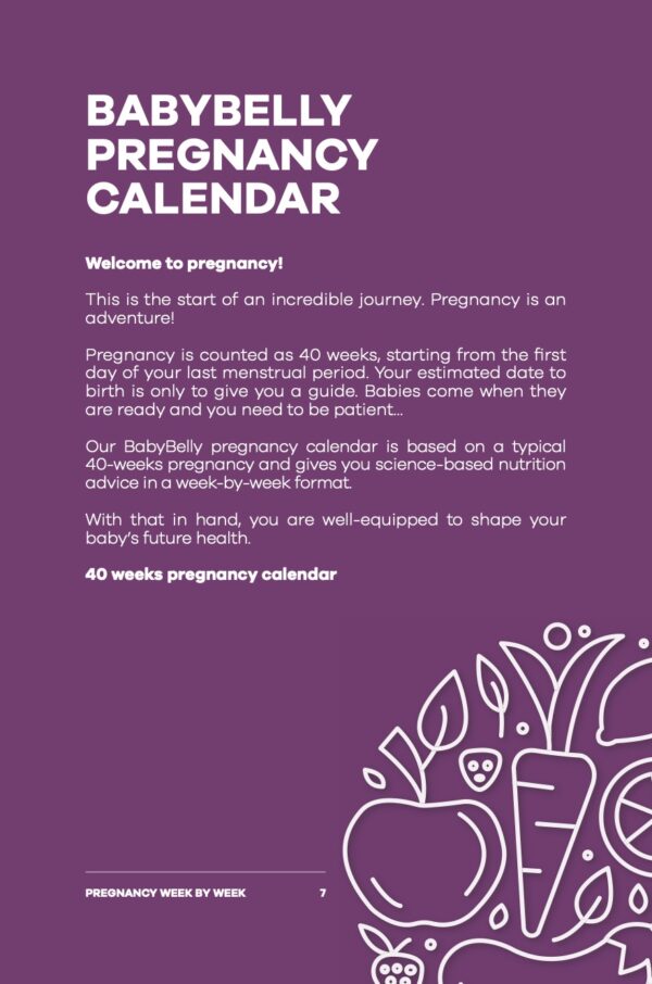 BabyBelly Pregnancy Calendar - Image 3