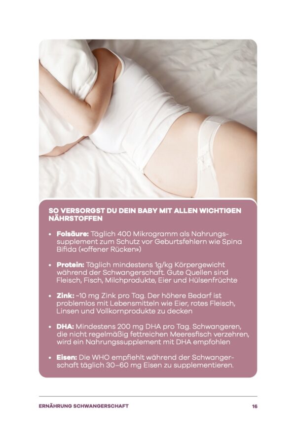 BabyBelly Schwangerschaftsratgeber – Bild 2