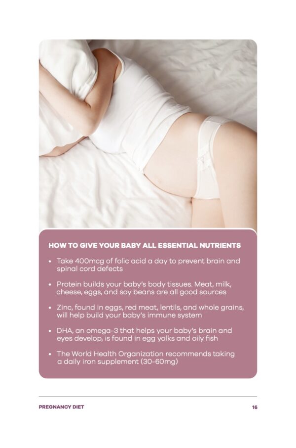 BabyBelly Pregnancy Book - Image 2