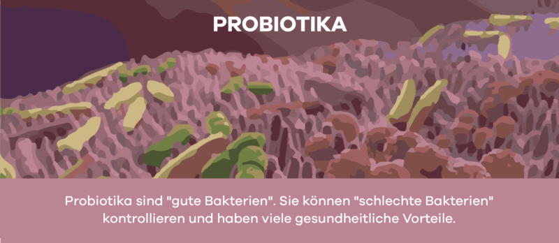 Probiotika sind gute Bakterien mit vielen gesundheitlichen Vorteilen