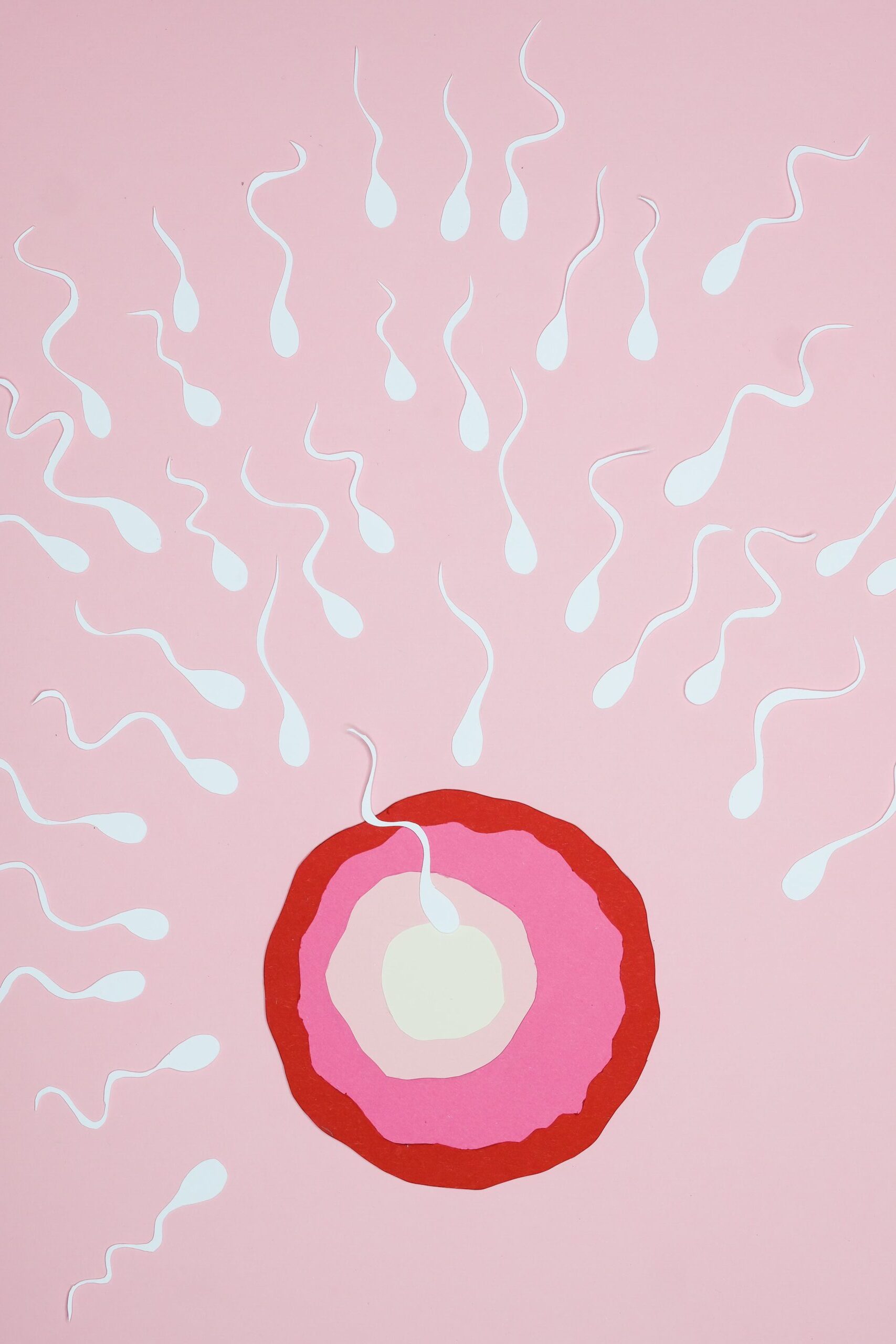 Gesunde Ernährung kann die Menopause hinauszögern und die Fruchtbarkeit verlängern.