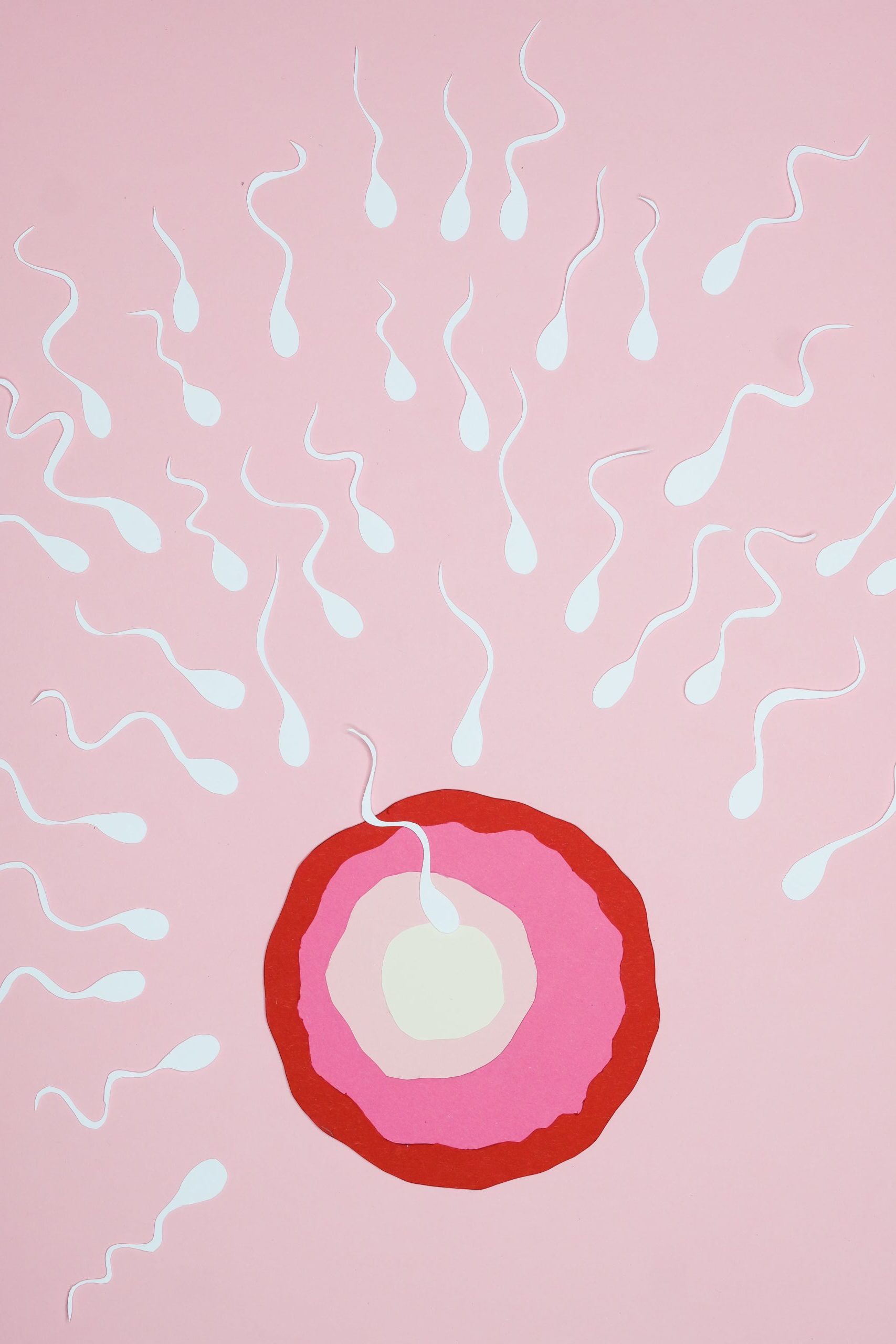 Find out how to delay menopause following a healthy diet and lifestyle