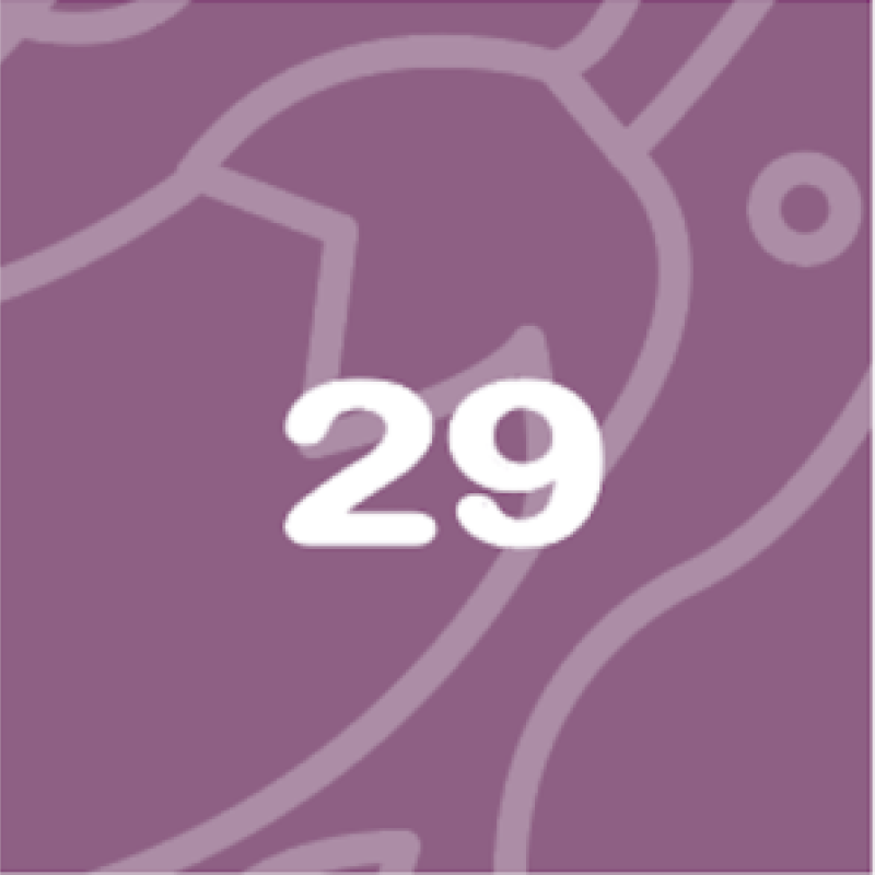 BabyBelly pregnancy calendar with nutrition and lifestyle tips - week 29