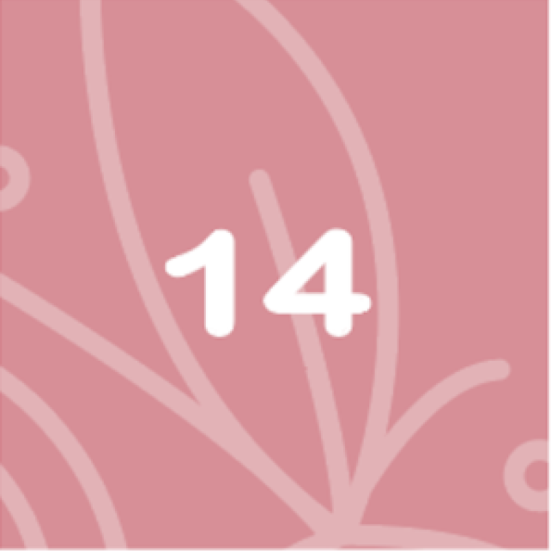 BabyBelly pregnany calendar with nutrition and lifestyle tips - week 14