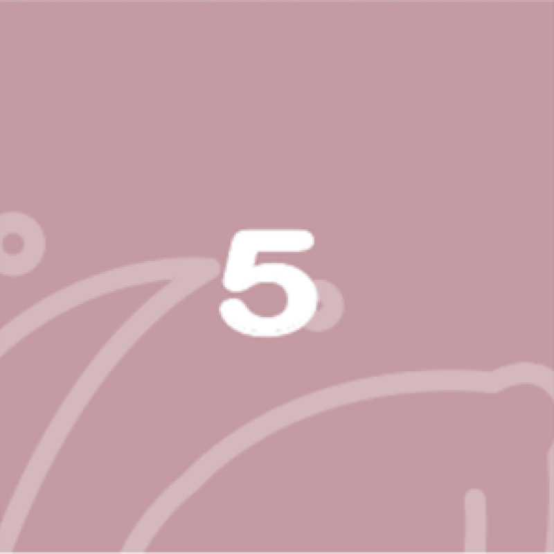 BabyBelly pregnancy calendar with nutrition and lifestyle tips - week 5