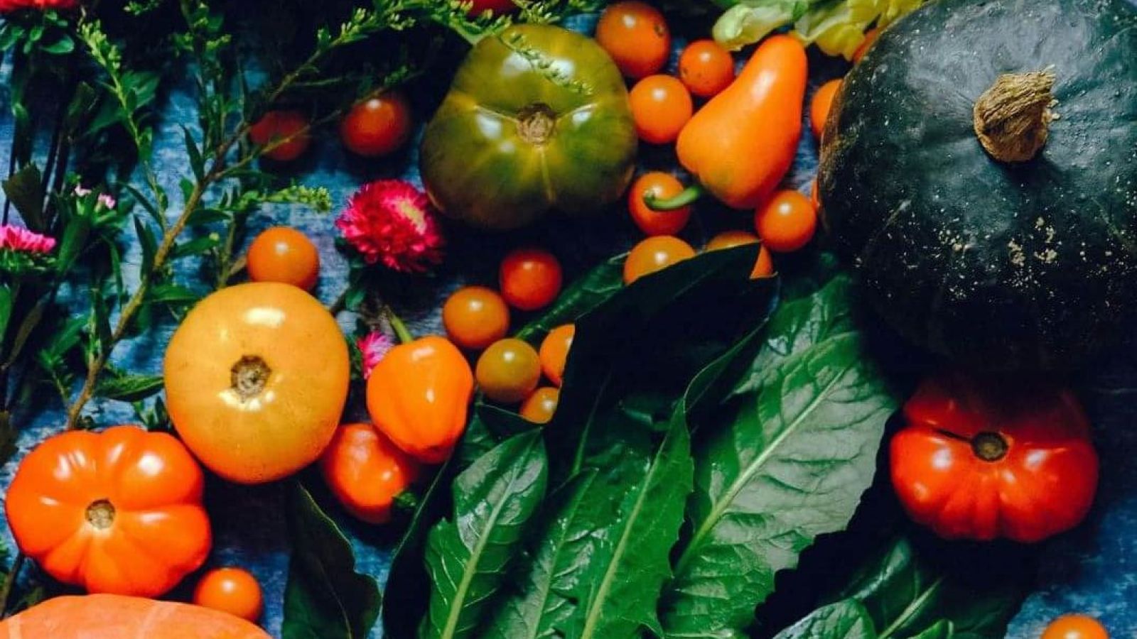 Phytonutrients are particularly important during pregnancy