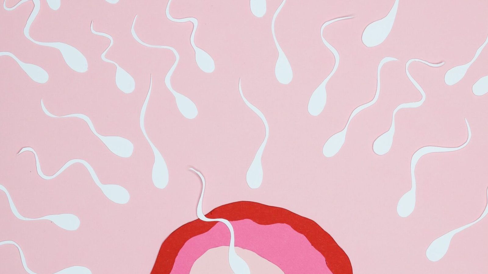 Gesunde Ernährung kann die Menopause hinauszögern und die Fruchtbarkeit verlängern.