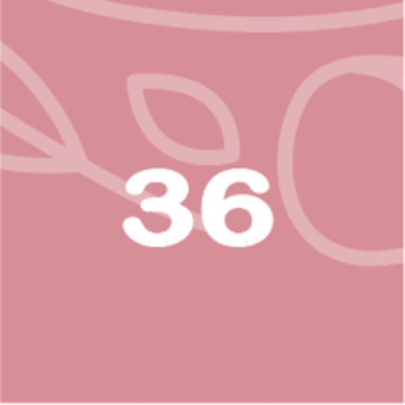BabyBelly pregnancy calendar with nutrition and lifestyle tips - week 36