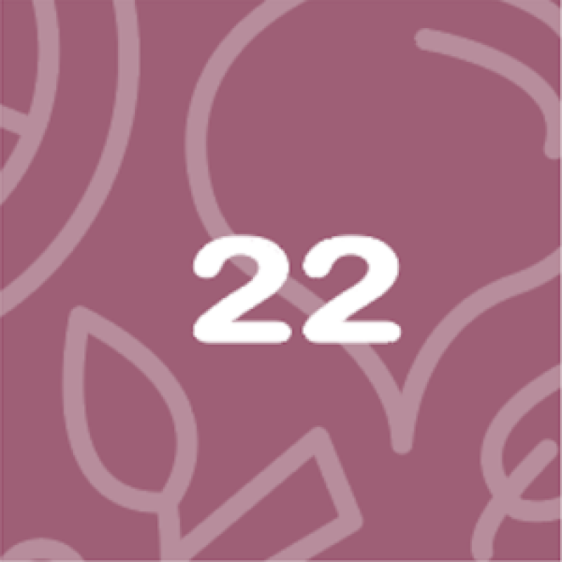 BabyBelly pregnancy calendar with nutrition and lifestyle tips - week 22