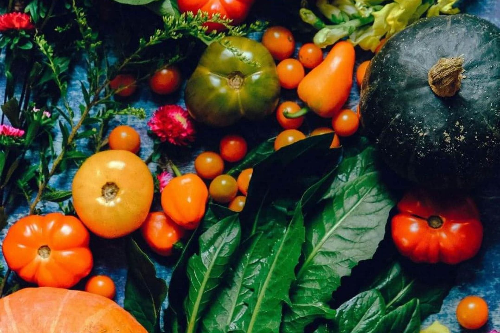 Phytonutrients are particularly important during pregnancy
