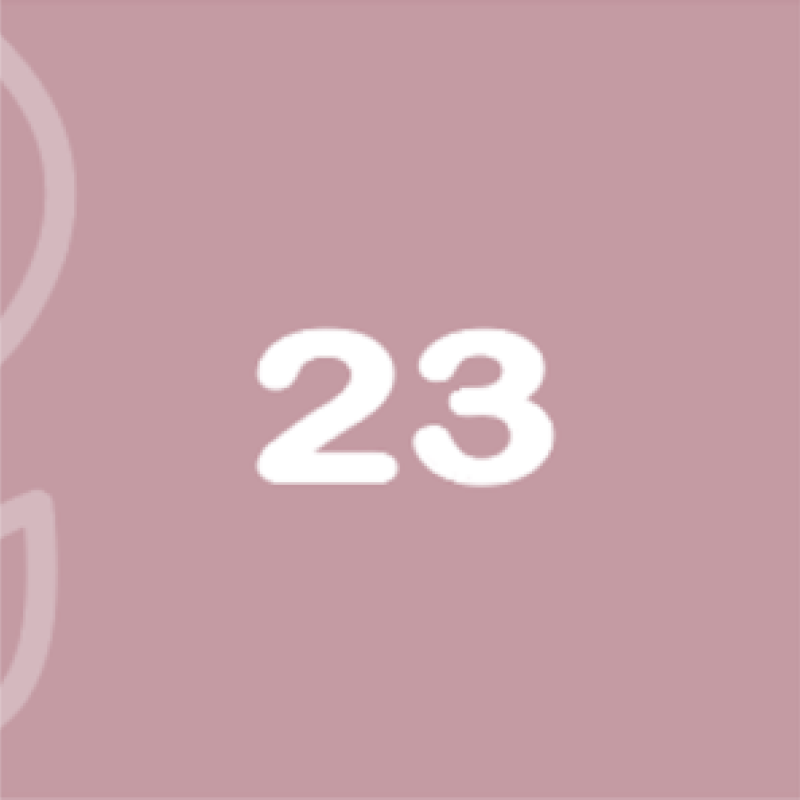BabyBelly pregnancy calendar with nutrition and lifestyle tips - week 23